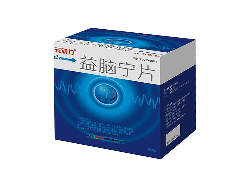 元动力益脑宁片